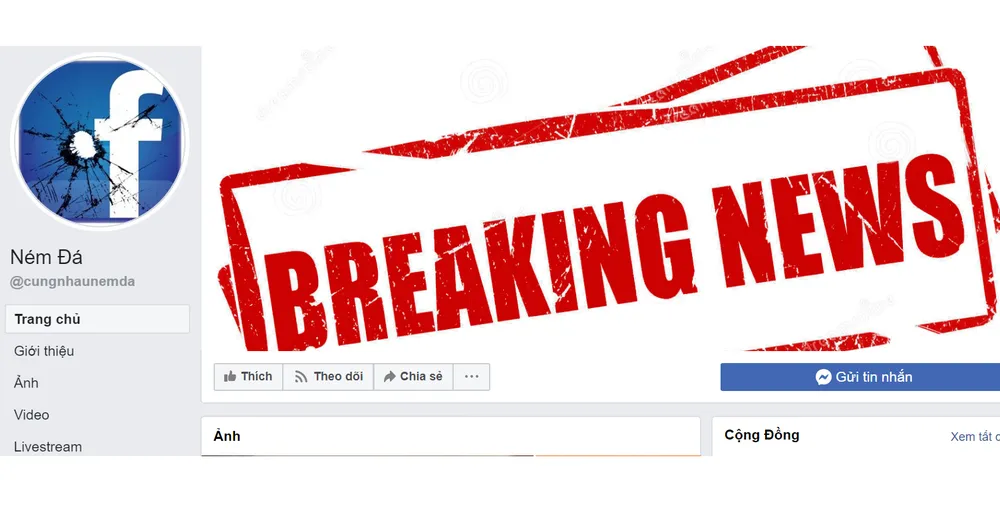 Một trong những trang mạng xã hội  được lập để “ném đá” người nổi tiếng