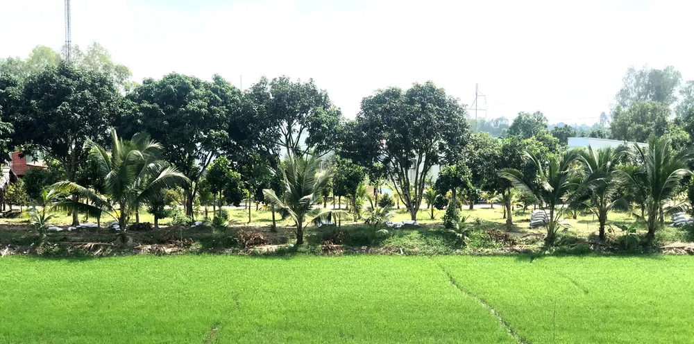 Những thanh âm thân thuộc ảnh 1