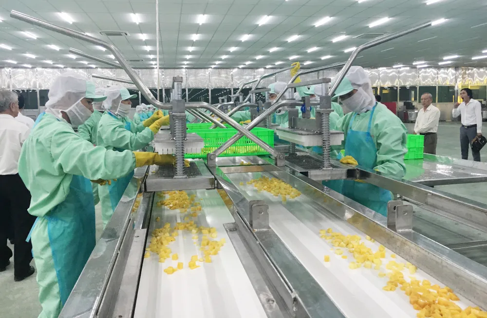 Đẩy mạnh công nghệ, tăng xuất khẩu nông sản ảnh 1