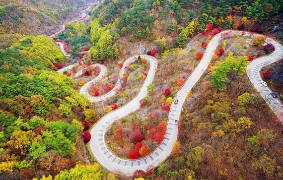 Du lịch Hàn Quốc kỳ vọng sẽ đón khách trở lại vào cuối năm 2020 ảnh 1