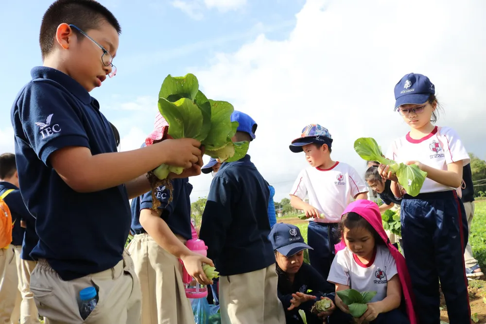IEC Quảng Ngãi: 365 ngày phụng sự trong yêu thương ảnh 4