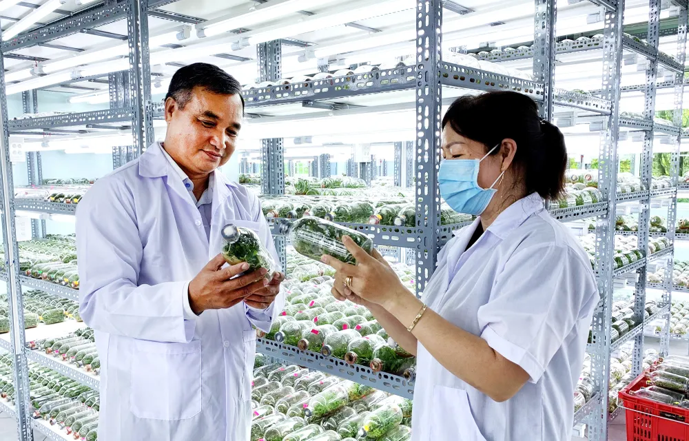 Hun đúc ngọn lửa sáng tạo ảnh 2