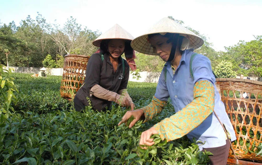 Chủ động nắm bắt xu thế mới trong thời kinh tế số ảnh 1