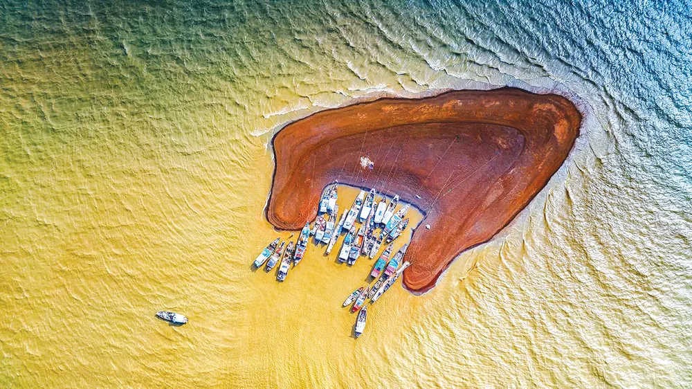 Khoảnh khắc cuộc sống ảnh 1