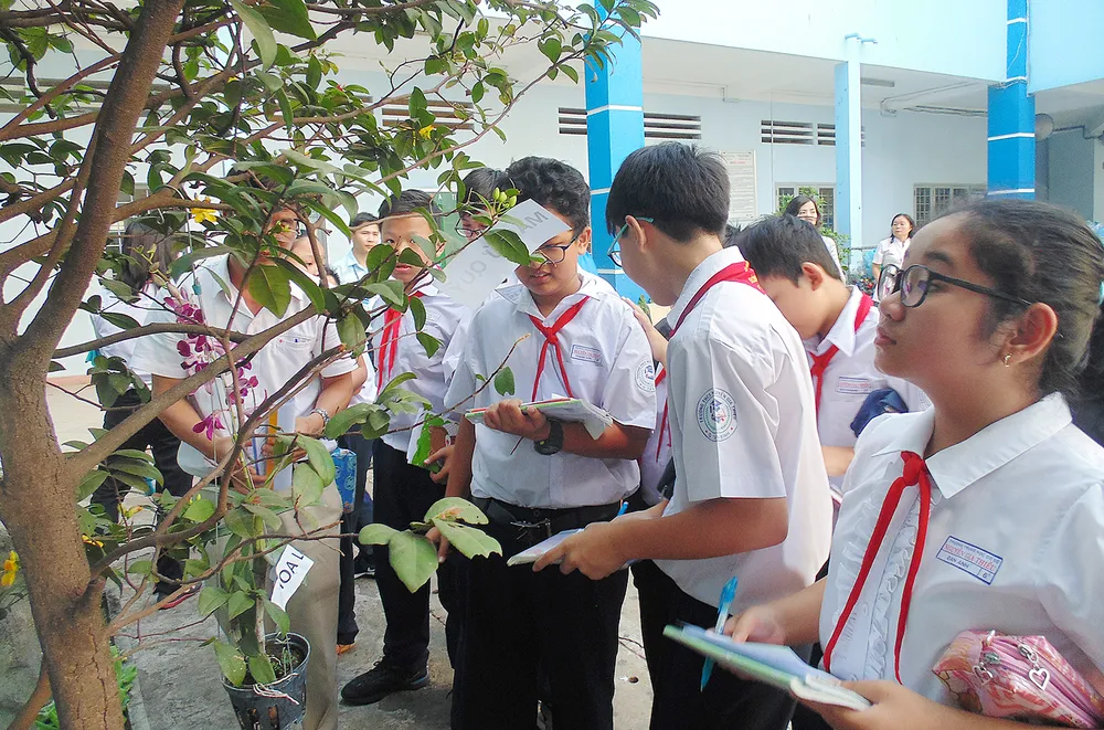 Hiệu quả từ đổi mới đánh giá học sinh ảnh 1