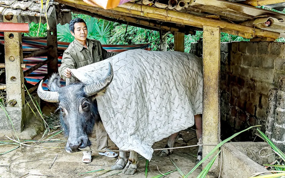 Khốn khó trong giá rét ảnh 2