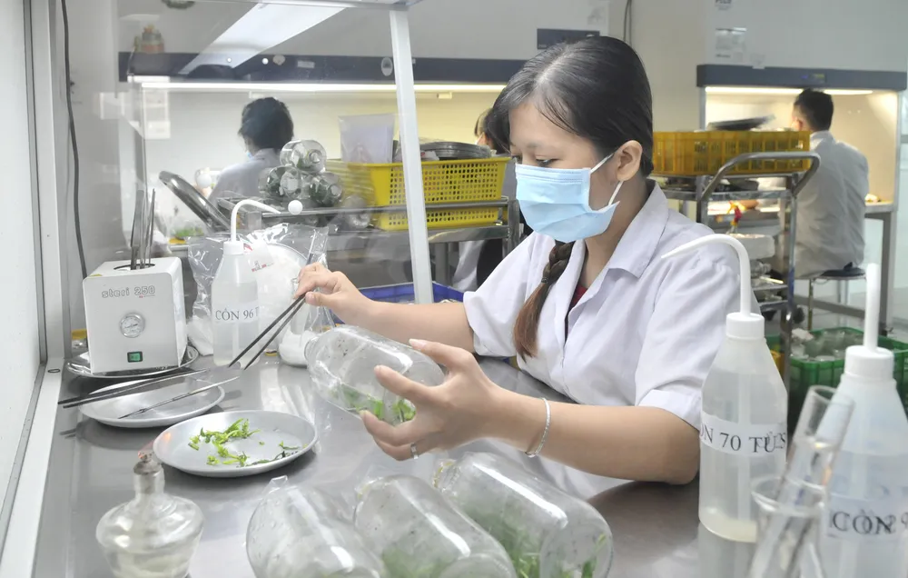 Tự tin tiến bước ảnh 2