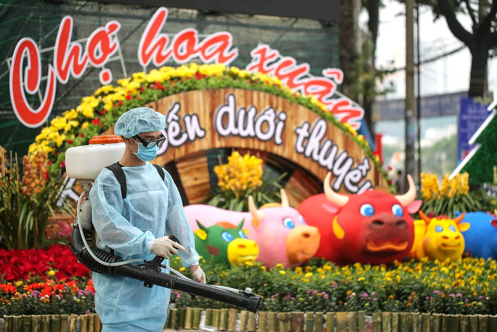 Trên bến dưới thuyền khoe sắc ảnh 2