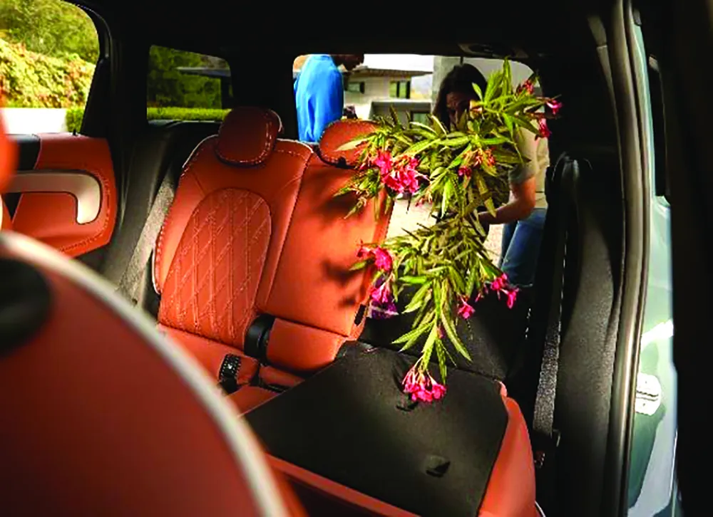 MINI Countryman mới chính thức ra mắt tại Việt Nam: Khởi tạo cảm hứng cho những chuyến phiêu lưu ảnh 3