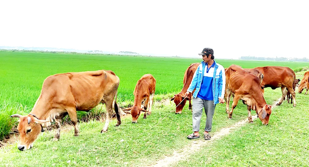 Hồi sinh vùng rốn lũ ảnh 1