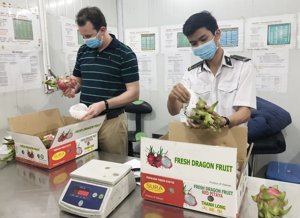 Trái cây Việt được thế giới ưa chuộng   ảnh 1