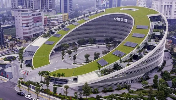 Trao quyền cho “sếu đầu đàn” ảnh 1