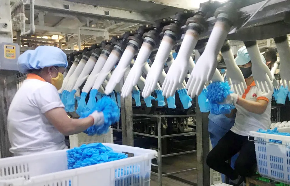 Tay sứ làm khung định hình sản xuất găng tay y tế xuất khẩu tại VRG Khải Hoàn. Ảnh: C.P