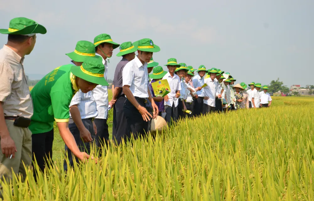 PVFCCo xuất khẩu nhiều đơn hàng phân bón với khối lượng lớn nhất từ trước tới nay ảnh 2