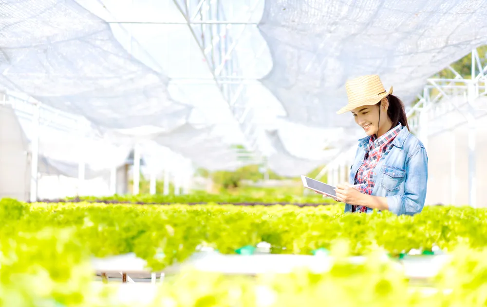 Nghề nông nhàn nhờ hệ thống canh tác thông minh  ảnh 1