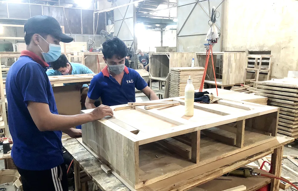 Nâng cao giá trị cây cao su  ​ ảnh 7