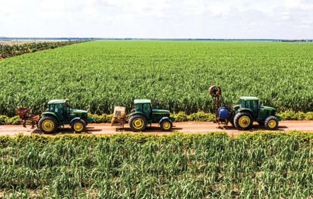 Ngành mía đường ASEAN hội nhập: “Thế giới chưa phẳng” ảnh 1