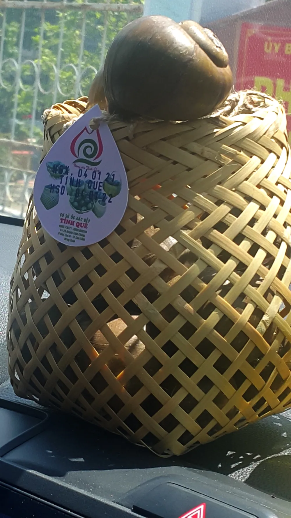 Ốc lác gác bếp và ốc bulot bơ tỏi ảnh 1