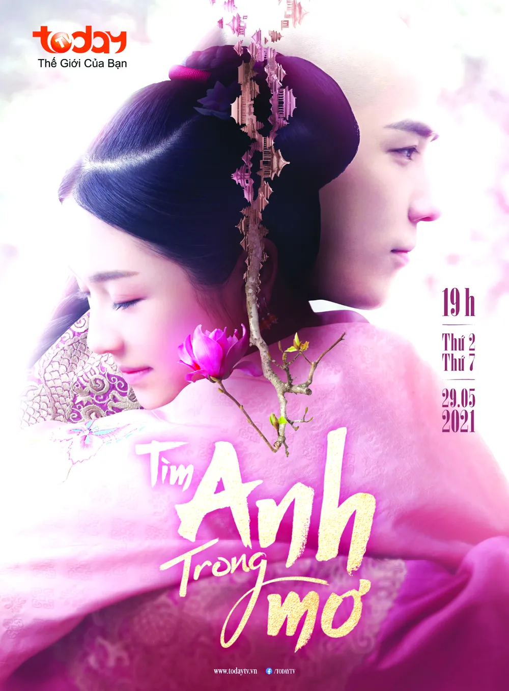 Tìm anh trong mơ ảnh 2