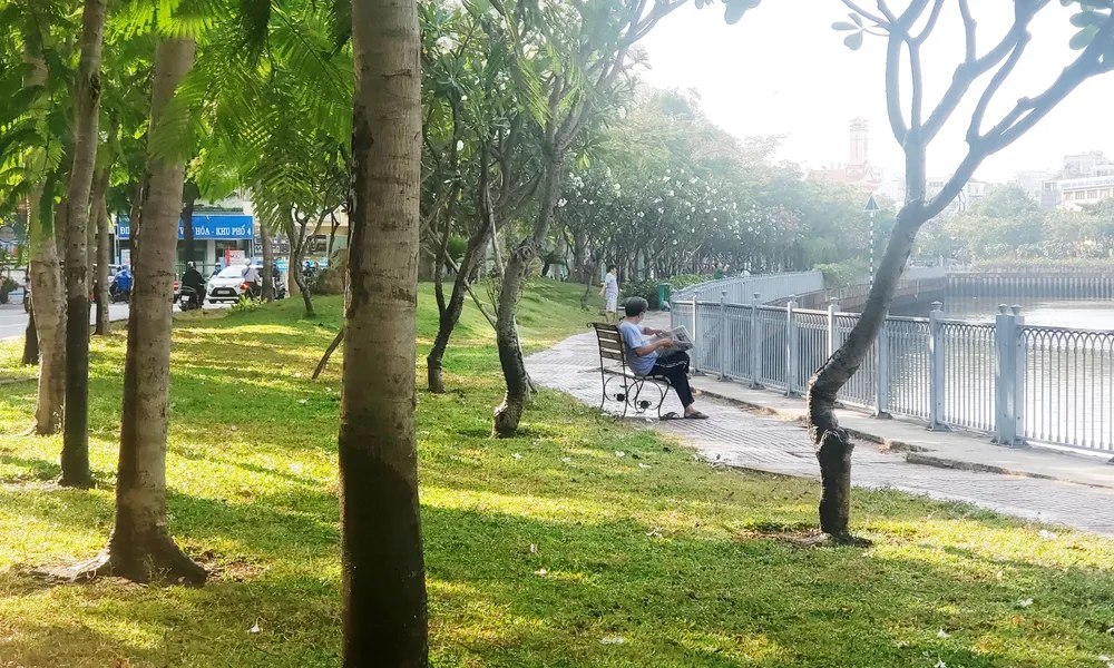 Góc xanh chẳng ở đâu xa ảnh 1