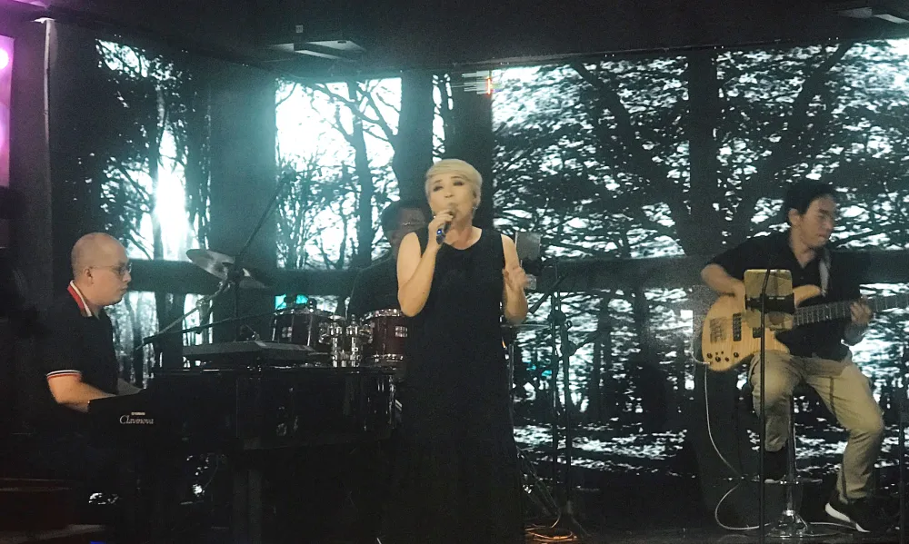 Chìm nổi ca sĩ phòng trà ảnh 1