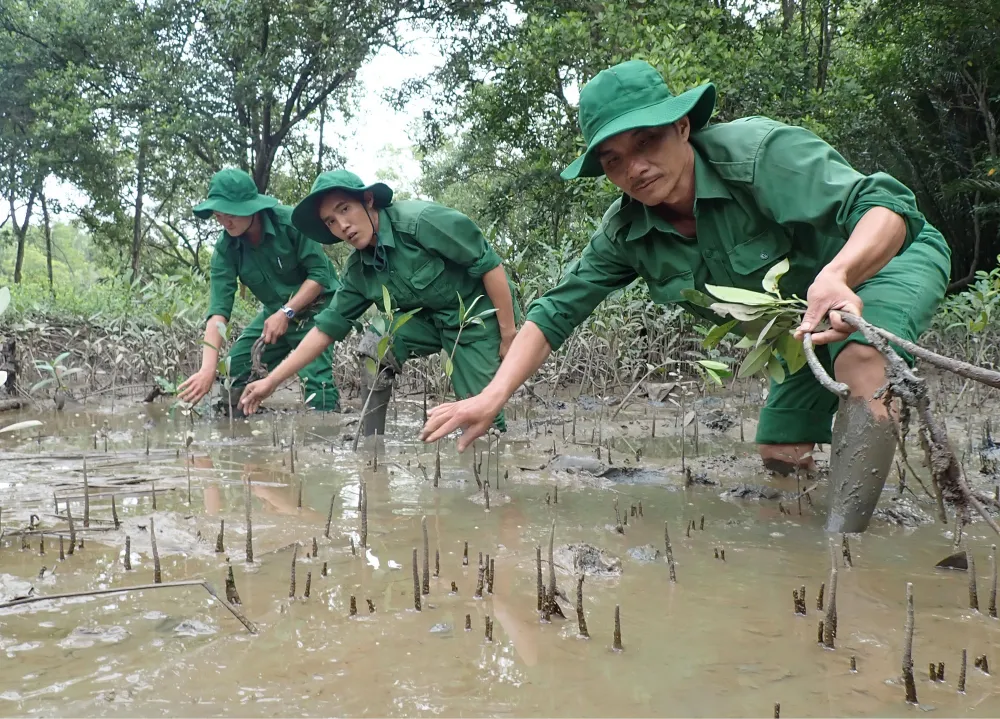 Thích ứng với biến đổi khí hậu để phát triển bền vững ảnh 1