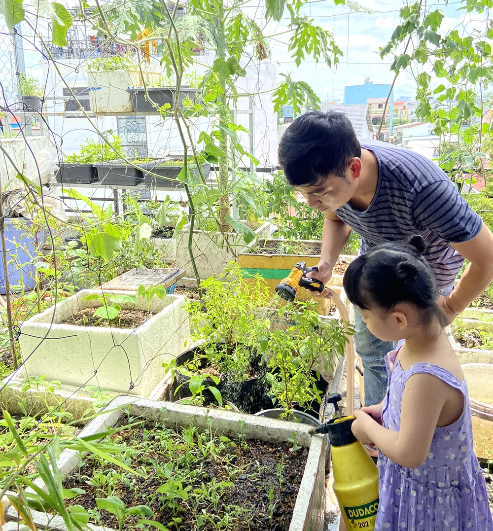 Chốn yên giữa lòng phố thị ảnh 1