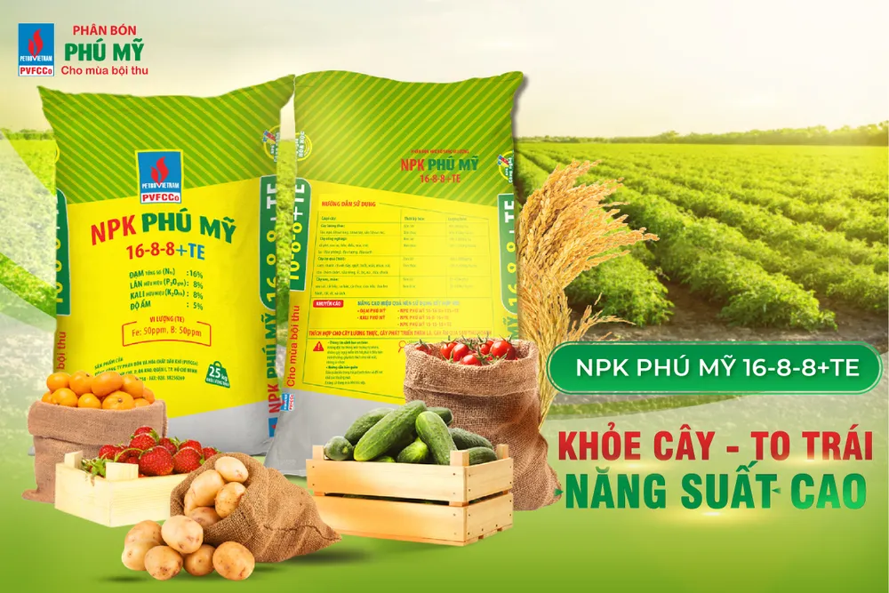 NPK Phú Mỹ đạt tăng trưởng vượt bậc ảnh 3