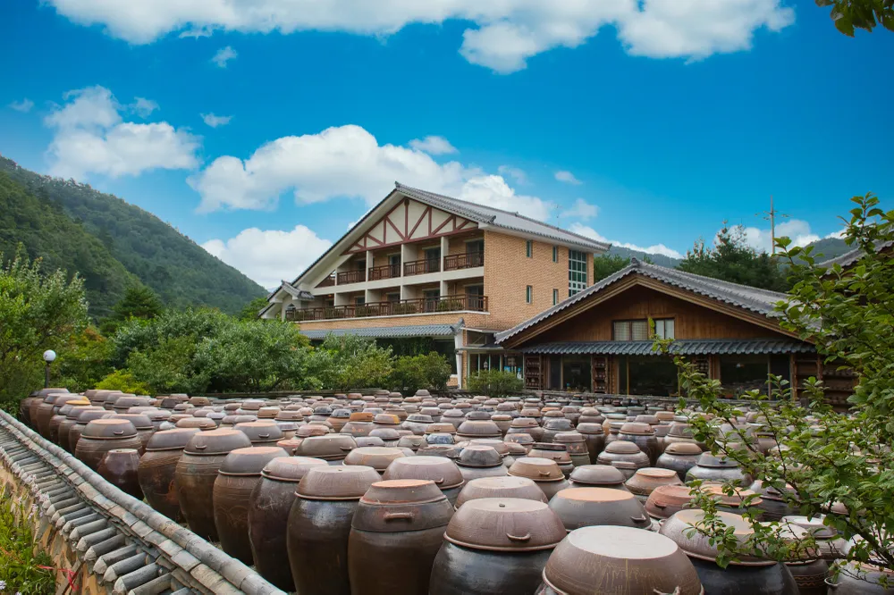 Du khách Việt Nam đến sân bay Yangyang vẫn được áp dụng chính sách miễn visa ảnh 2