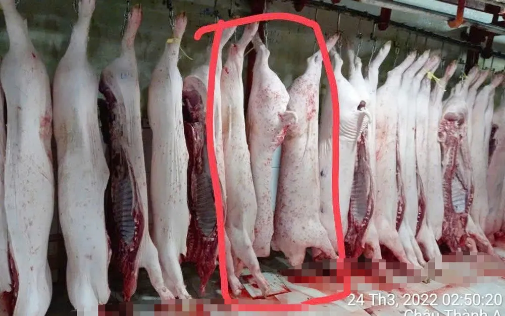 Hình ảnh và nội dung mà ông L.Q.N. công bố trên trang Facebook cá nhân