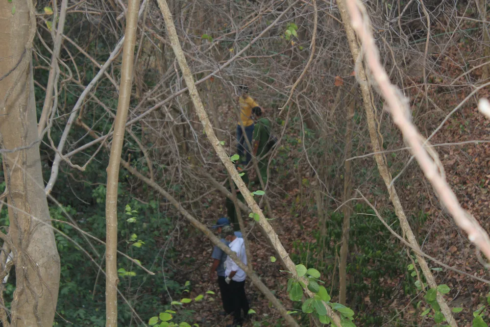 Chữa cháy rừng, phát hiện thi thể đang phân hủy ảnh 1