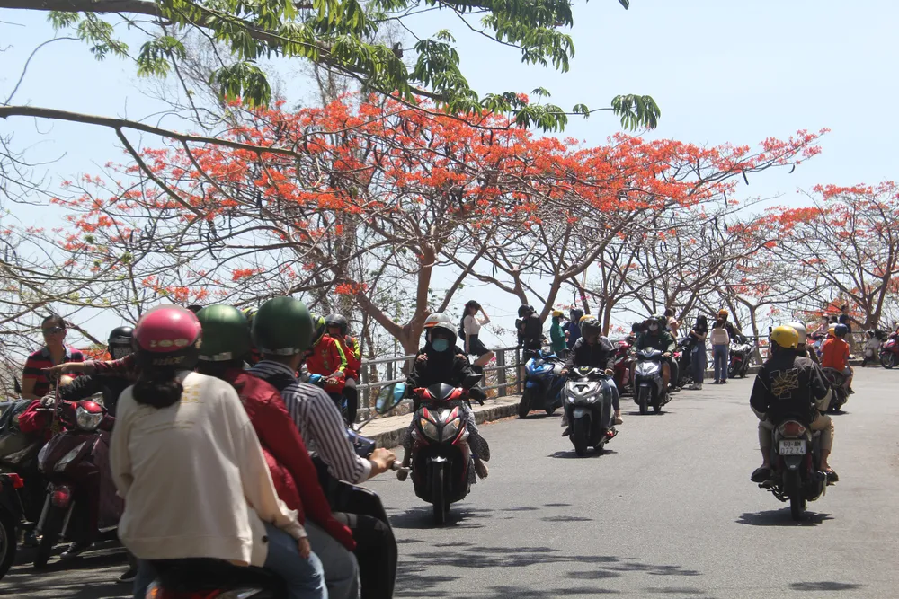 Vũng Tàu cấm tắm biển, du khách kéo nhau lên núi chụp hình ảnh 2