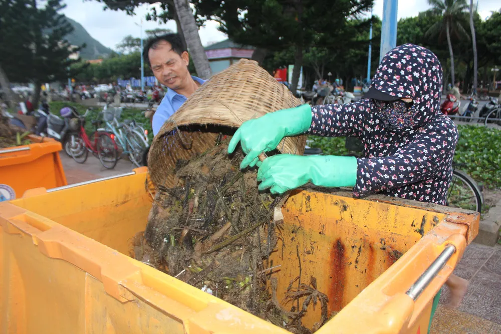 Rác đại dương tiếp tục “tấn công” bờ biển Vũng Tàu ảnh 8
