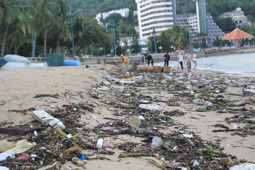 Phát động cuộc thi viết "Cùng giữ màu xanh của biển" ảnh 2