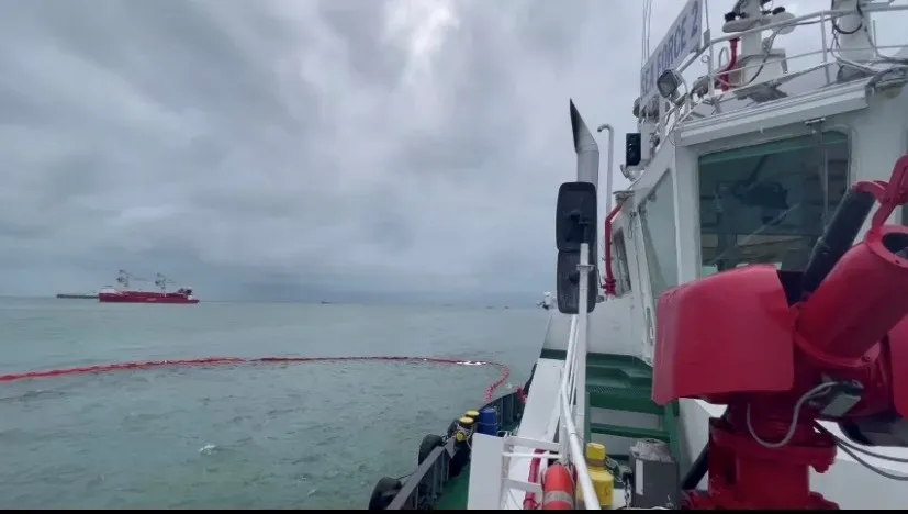 Tàu chở gần 10.000 tấn hàng chìm, 17 người được cứu ảnh 1