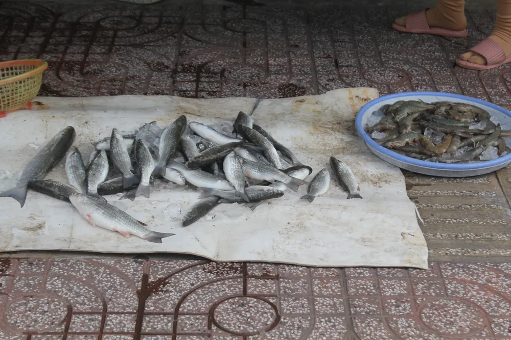 Vũng Tàu: Người dân tấp nập ra đường sau hơn 2 tháng ở nhà phòng dịch ảnh 7