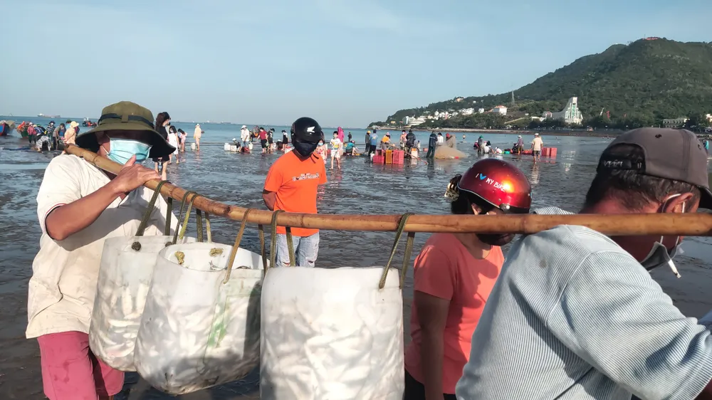 Ngư dân Vũng Tàu trúng đậm mùa cá trích ảnh 9