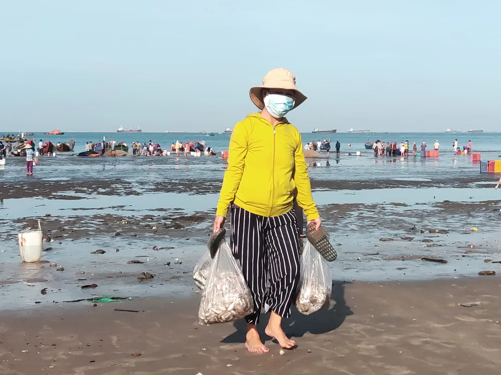 Ngư dân Vũng Tàu trúng đậm mùa cá trích ảnh 8