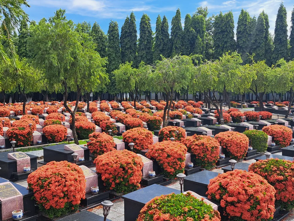 Hoa trang rực đỏ ở Nghĩa trang liệt sĩ Đất Đỏ - Long Điền ảnh 1