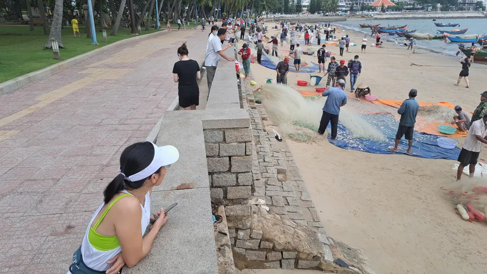 Ngư dân Vũng Tàu trúng đậm mùa cá mai ảnh 8