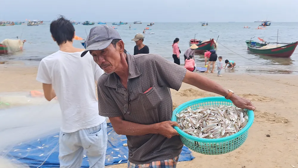 Ngư dân Vũng Tàu trúng đậm mùa cá mai ảnh 5