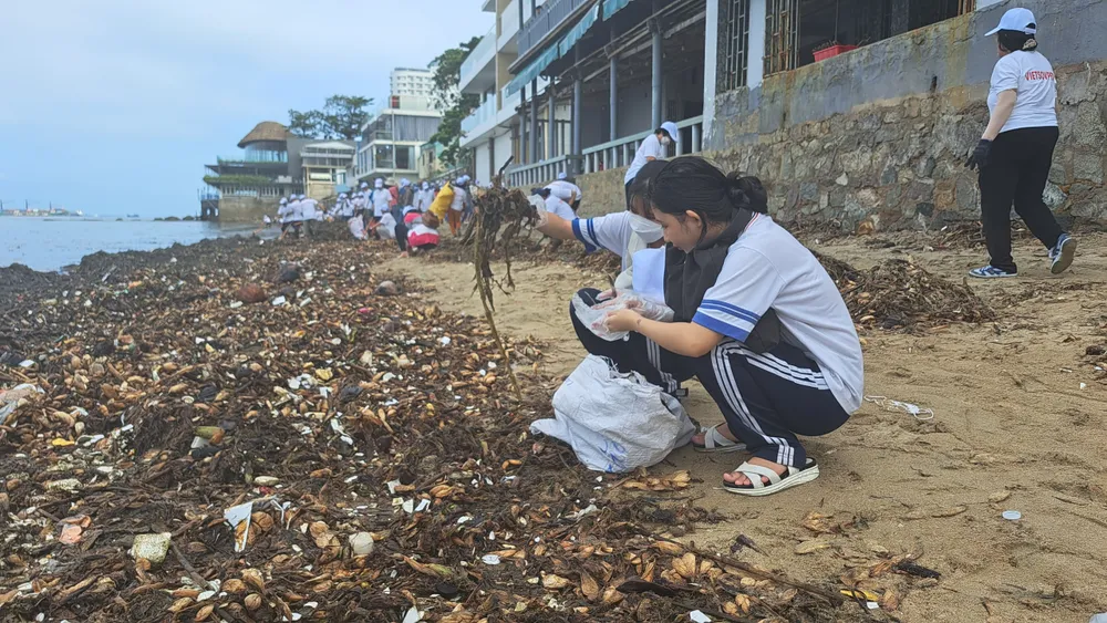Học sinh Trường THCS Duy Tân góp sức thu gom rác Học sinh Trường THCS Duy Tân góp sức thu gom rác