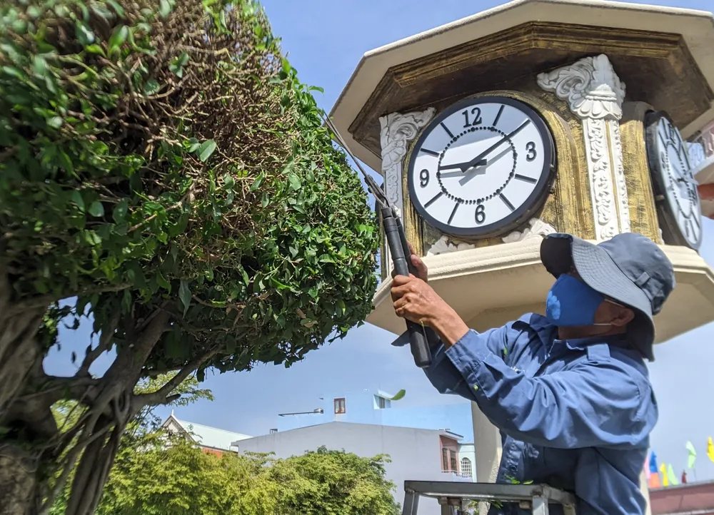 Nhân viên công ty Đô thị Bà Rịa chăm sóc cây xanh đường phố.jpg