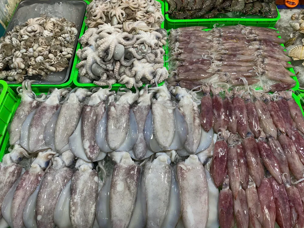 Mực, bạch tuộc là những món hải sản được du khách lựa mua khá nhiều