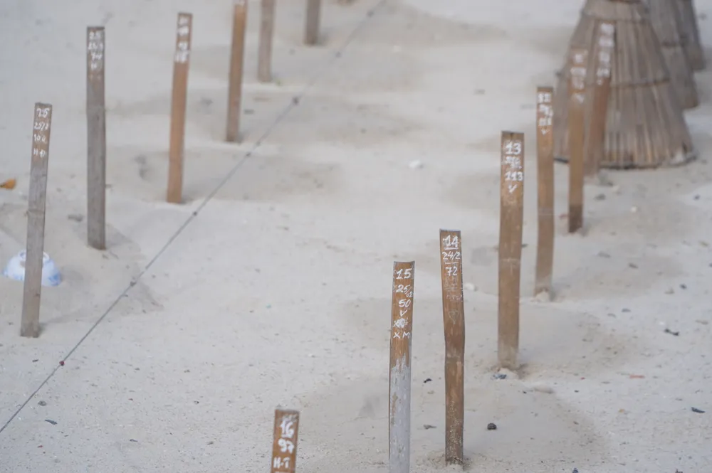 Bãi ấp trứng rùa biển trên Hòn Bảy Cạnh.JPG