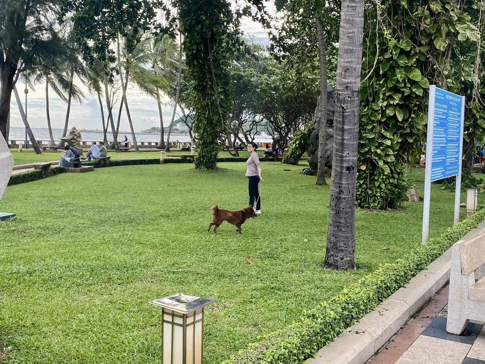 Vô tư thả rông chó ngay công viên Tam Giác (khu vực Bãi Trước, phường Vũng Tàu) nơi có hàng ngàn người dân và khách du lịch ghé thăm mỗi ngày