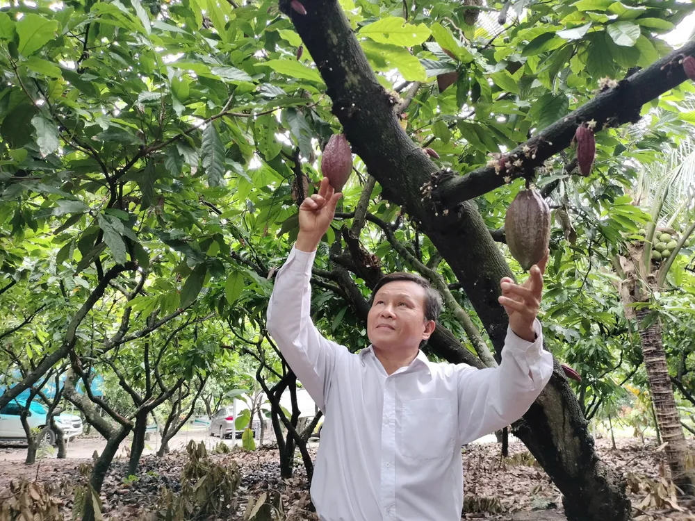 Ông Mỹ bên vườn ca cao của gia đình ở xã Xuân Lộc, tỉnh Đồng Nai.jpg