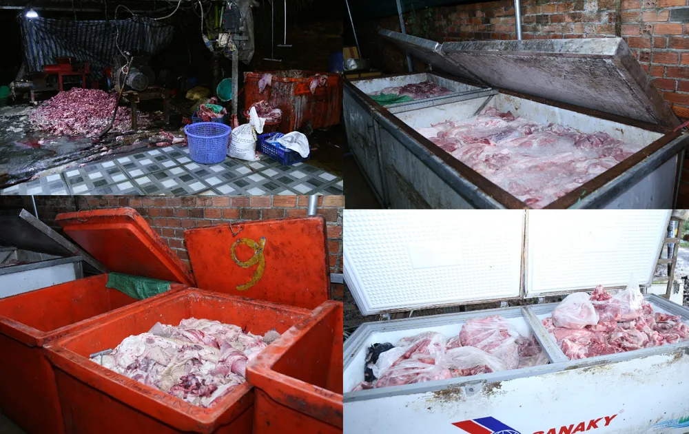Tang vật trong vụ án đường dây thu mua, giết mổ, tiêu thụ heo bệnh, heo chết. Ảnh: CA TPĐN
