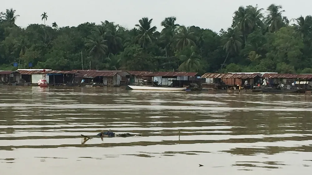 Thi thể một nạn nhân trên sông Đồng Nai