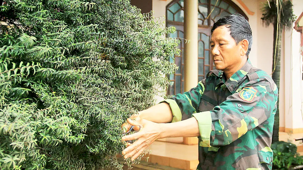 Cựu chiến binh Ngô Công Đoan bên vườn cây cảnh của gia đình